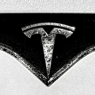 Tesla Motors Fans ⚡