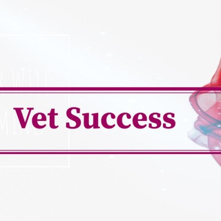 Vetsuccess 🐼